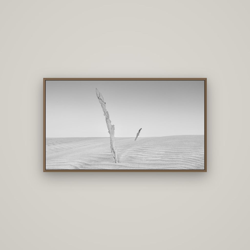 Desert Remnants, Pouto Peninsula, Basel Walnut, 107×60 cm. New Zealand fine art wall art by Stephen Milner.