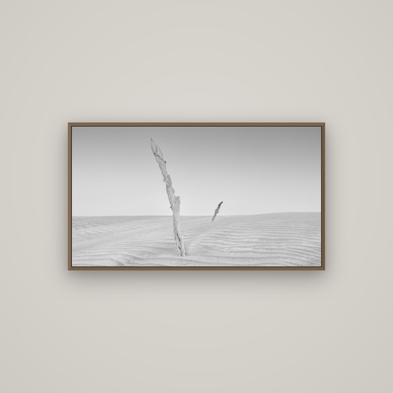 Desert Remnants, Pouto Peninsula, Basel Walnut, 107×60 cm. New Zealand fine art wall art by Stephen Milner.