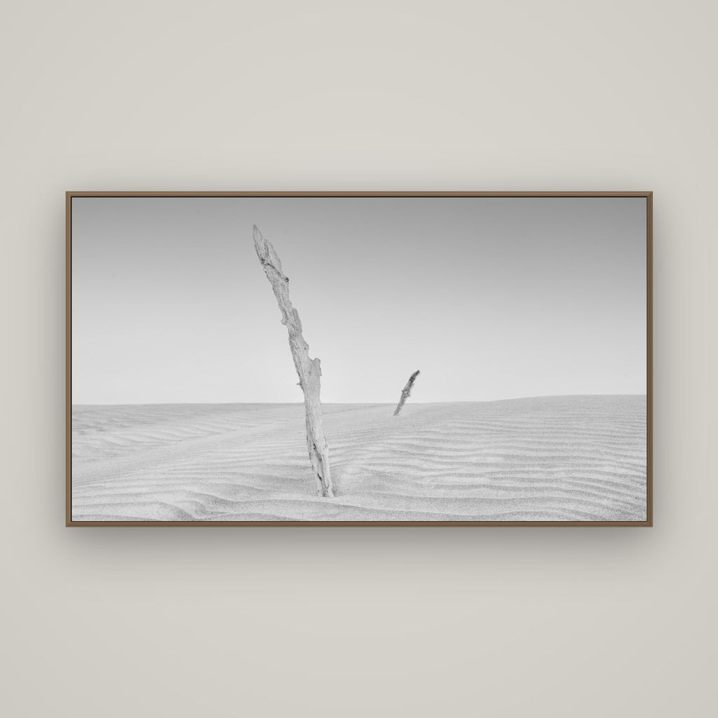 Desert Remnants, Pouto Peninsula, Basel Walnut, 160×90 cm. New Zealand fine art wall art by Stephen Milner.