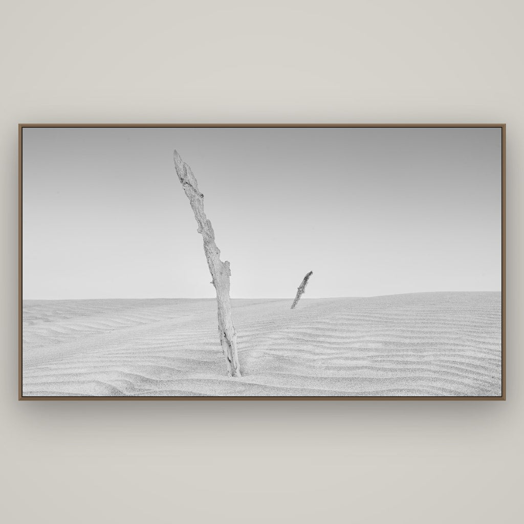 Desert Remnants, Pouto Peninsula, Basel Walnut, 196×110 cm. New Zealand fine art wall art by Stephen Milner.