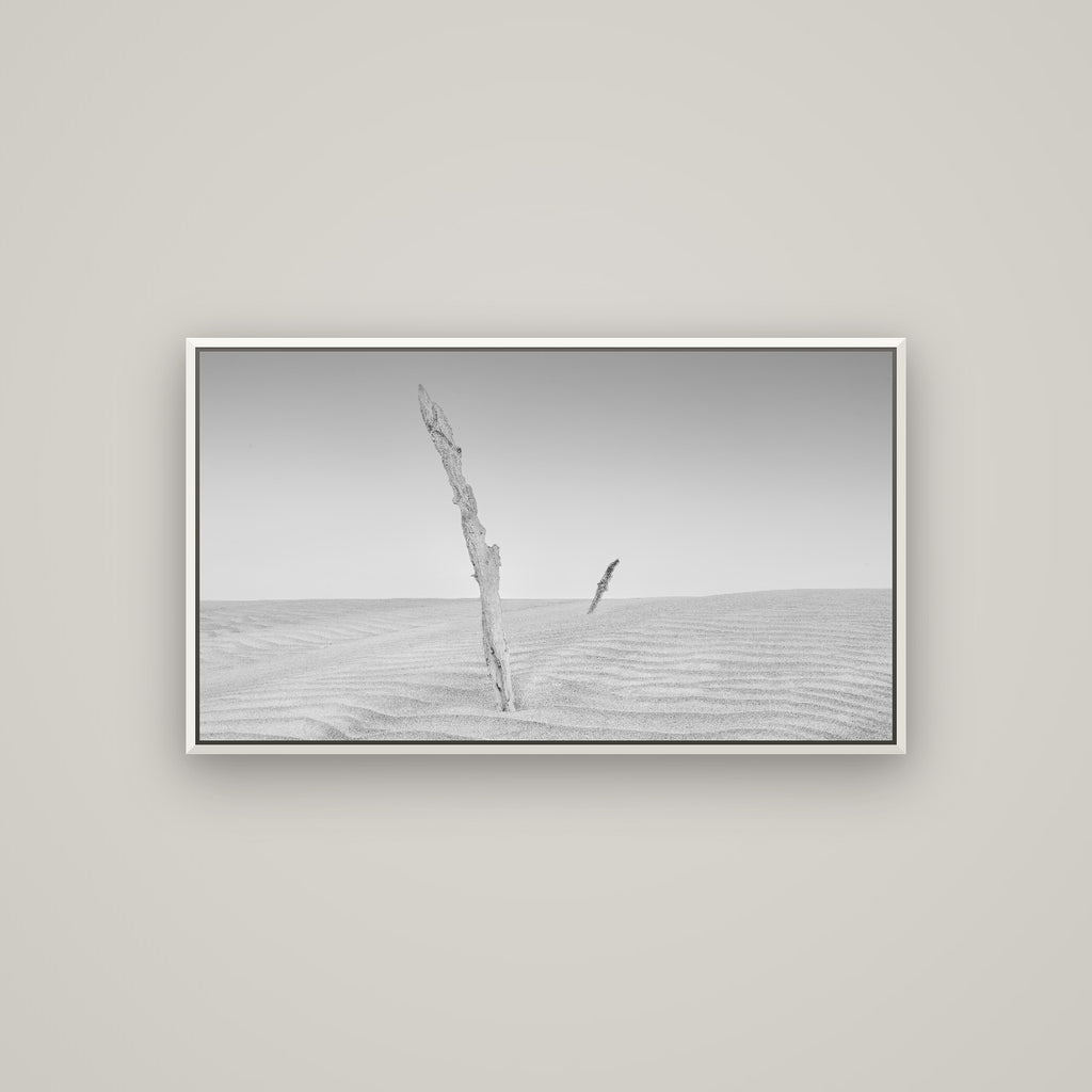 Desert Remnants, Pouto Peninsula — Basel White, 107×60 cm. New Zealand fine art wall art by Stephen Milner.