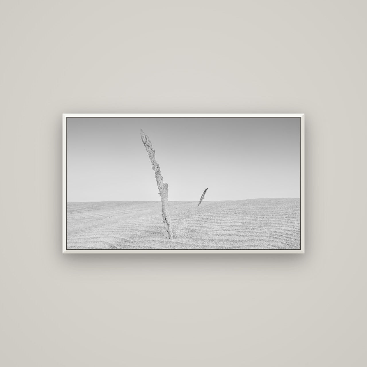 Desert Remnants, Pouto Peninsula — Basel White, 107×60 cm. New Zealand fine art wall art by Stephen Milner.