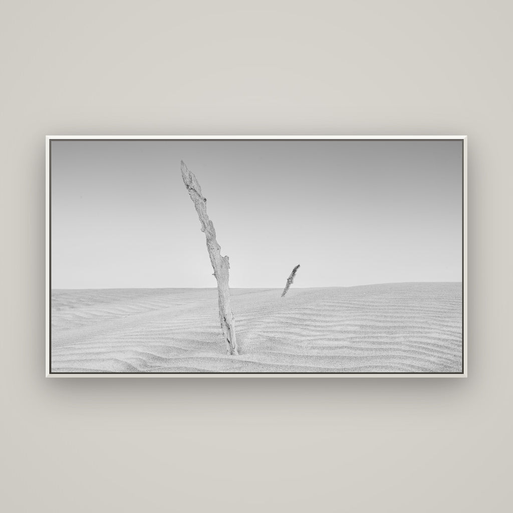 Desert Remnants, Pouto Peninsula — Basel White, 160×90 cm. New Zealand fine art wall art by Stephen Milner.
