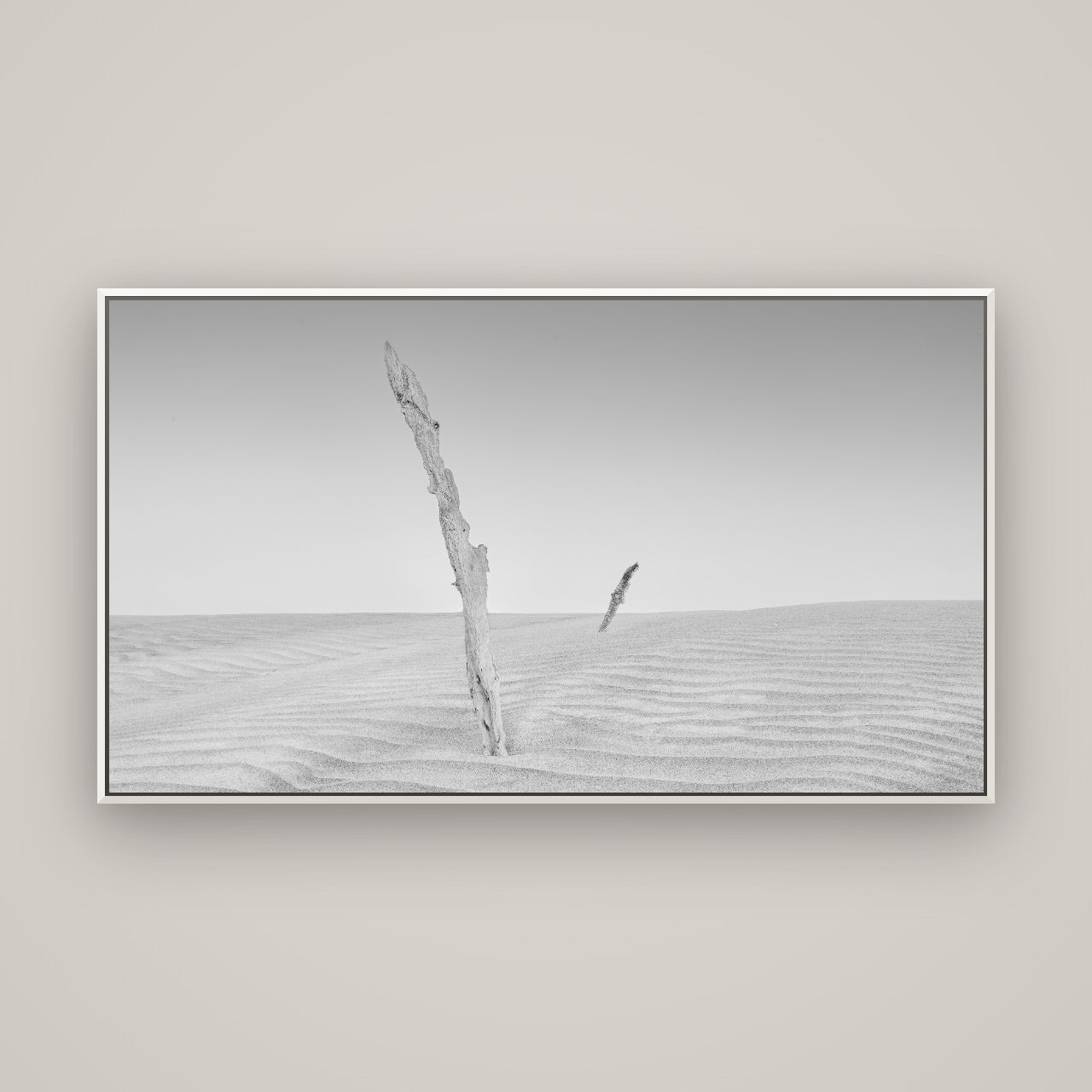 Desert Remnants, Pouto Peninsula — Basel White, 160×90 cm. New Zealand fine art wall art by Stephen Milner.