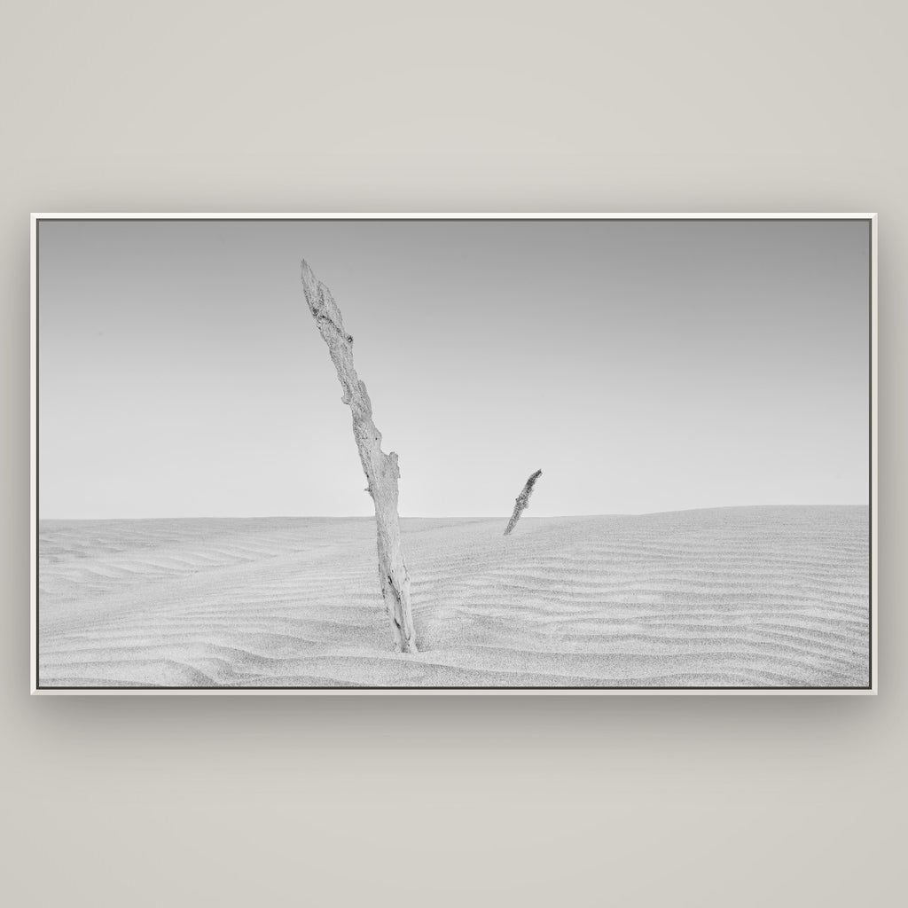 Desert Remnants, Pouto Peninsula — Basel White, 196×110 cm. New Zealand fine art wall art by Stephen Milner.