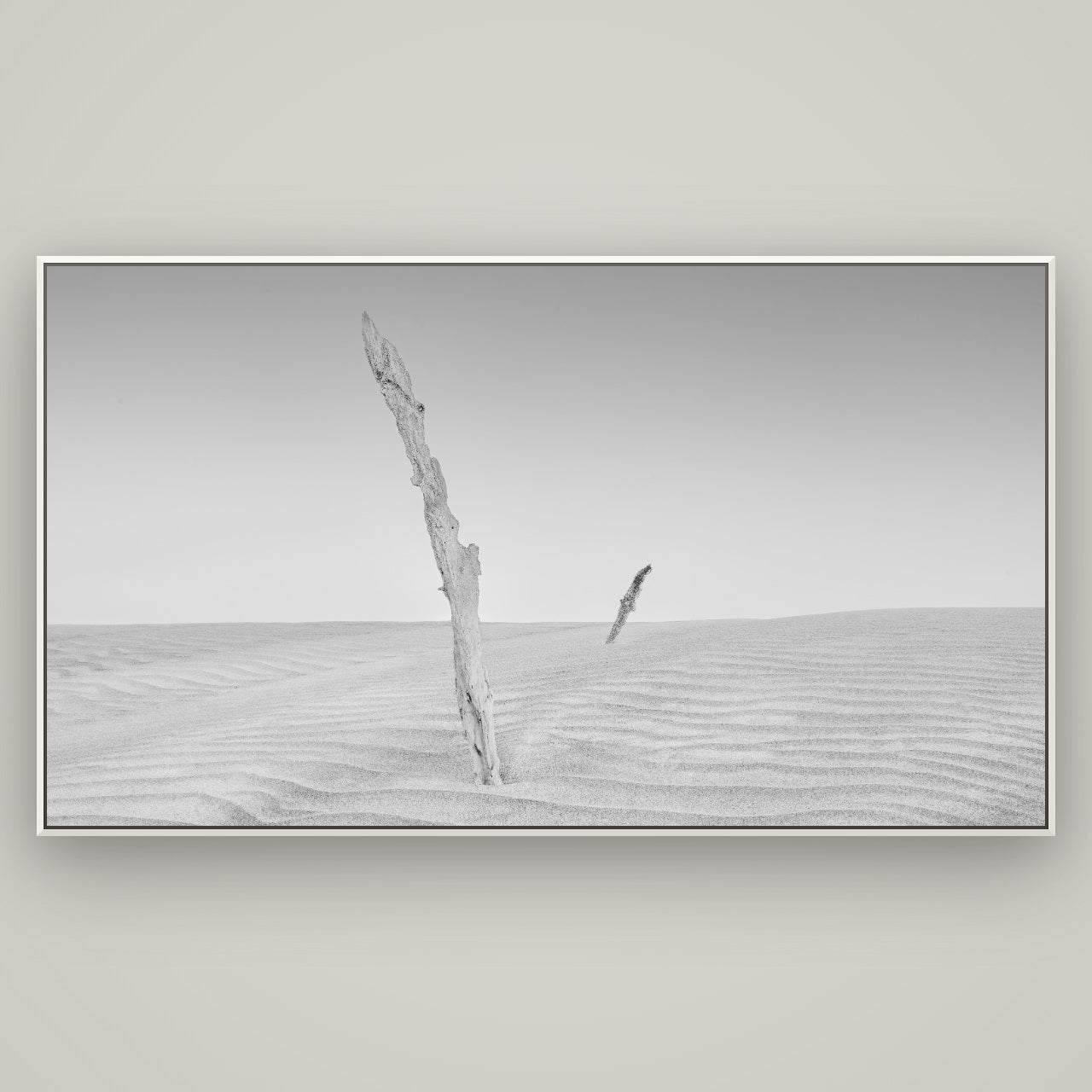 Desert Remnants, Pouto Peninsula — Basel White, 196×110 cm. New Zealand fine art wall art by Stephen Milner.