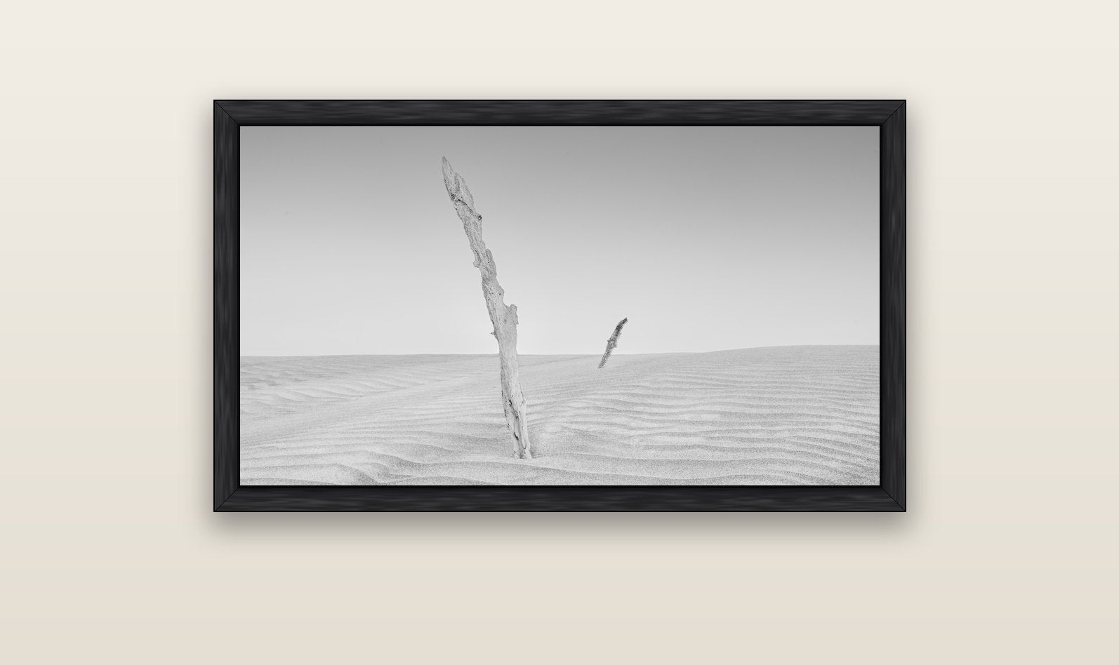 Desert Remnants, Pouto Peninsula — black float frame canvas, 102 × 56 cm. New Zealand fine art landscape wall art by Stephen Milner.