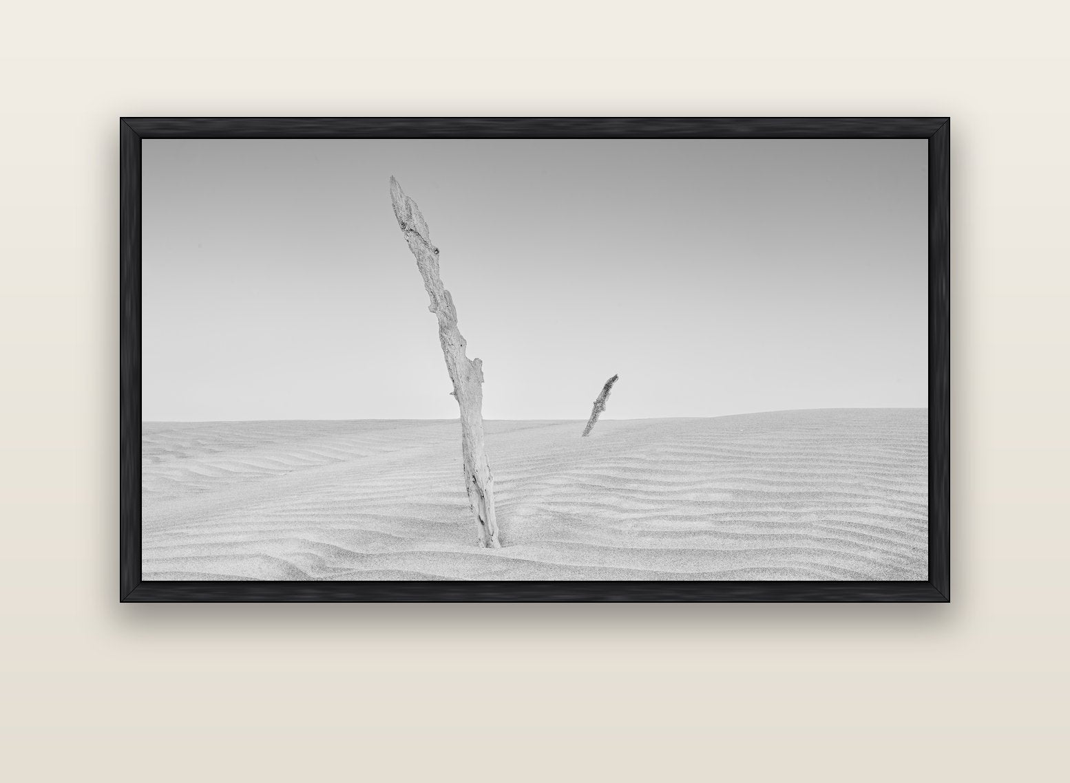 Desert Remnants, Pouto Peninsula — black float frame canvas, 152 × 86 cm. New Zealand fine art landscape wall art by Stephen Milner.
