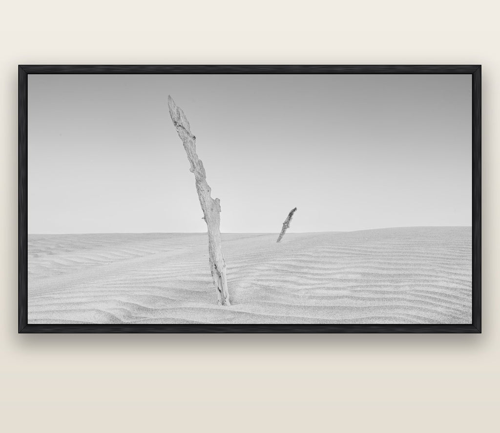 Desert Remnants, Pouto Peninsula — black float frame canvas, 200 × 130 cm. New Zealand fine art landscape wall art by Stephen Milner.