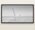 Desert Remnants, Pouto Peninsula — black float frame canvas, 200 × 130 cm. New Zealand fine art landscape wall art by Stephen Milner.