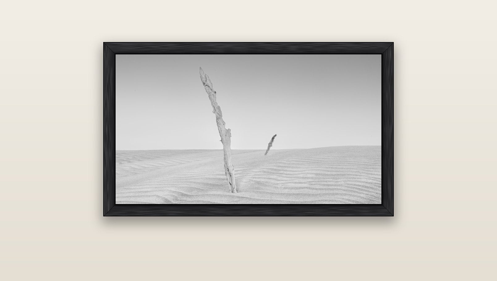 Desert Remnants, Pouto Peninsula — black float frame canvas, 91 × 51 cm. New Zealand fine art landscape wall art by Stephen Milner.