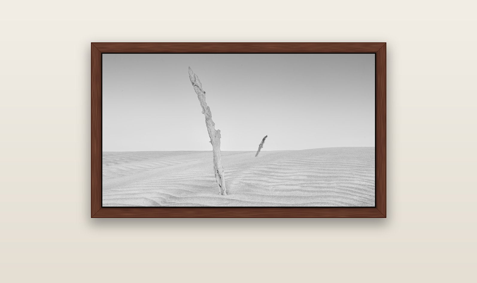 Desert Remnants, Pouto Peninsula — brown float frame canvas, 102 × 56 cm. New Zealand fine art landscape wall art by Stephen Milner.