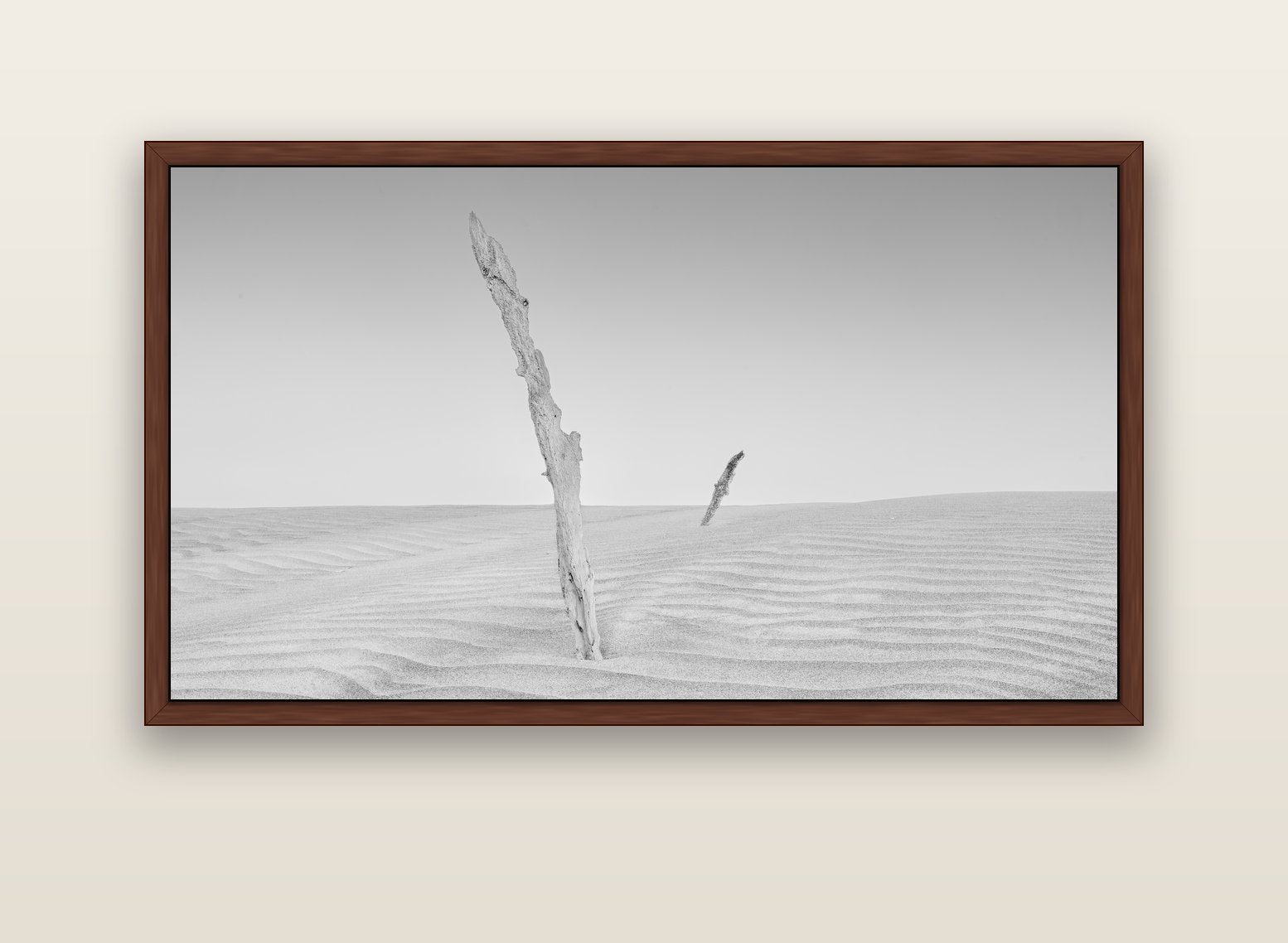 Desert Remnants, Pouto Peninsula — brown float frame canvas, 152 × 86 cm. New Zealand fine art landscape wall art by Stephen Milner.