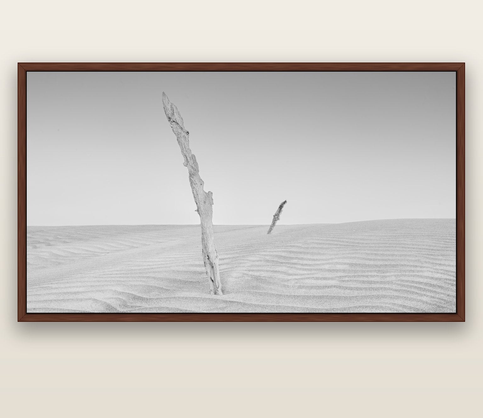 Desert Remnants, Pouto Peninsula — brown float frame canvas, 200 × 130 cm. New Zealand fine art landscape wall art by Stephen Milner.