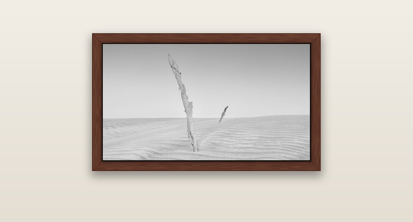 Desert Remnants, Pouto Peninsula — brown float frame canvas, 81 × 46 cm. New Zealand fine art landscape wall art by Stephen Milner.