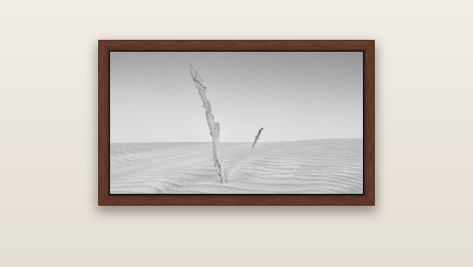 Desert Remnants, Pouto Peninsula — brown float frame canvas, 91 × 51 cm. New Zealand fine art landscape wall art by Stephen Milner.