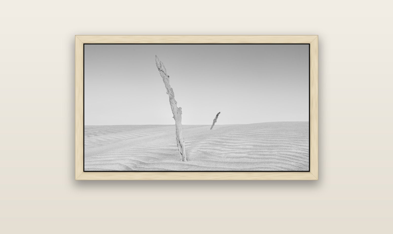 Desert Remnants, Pouto Peninsula — natural float frame canvas, 102 × 56 cm. New Zealand fine art landscape wall art by Stephen Milner.