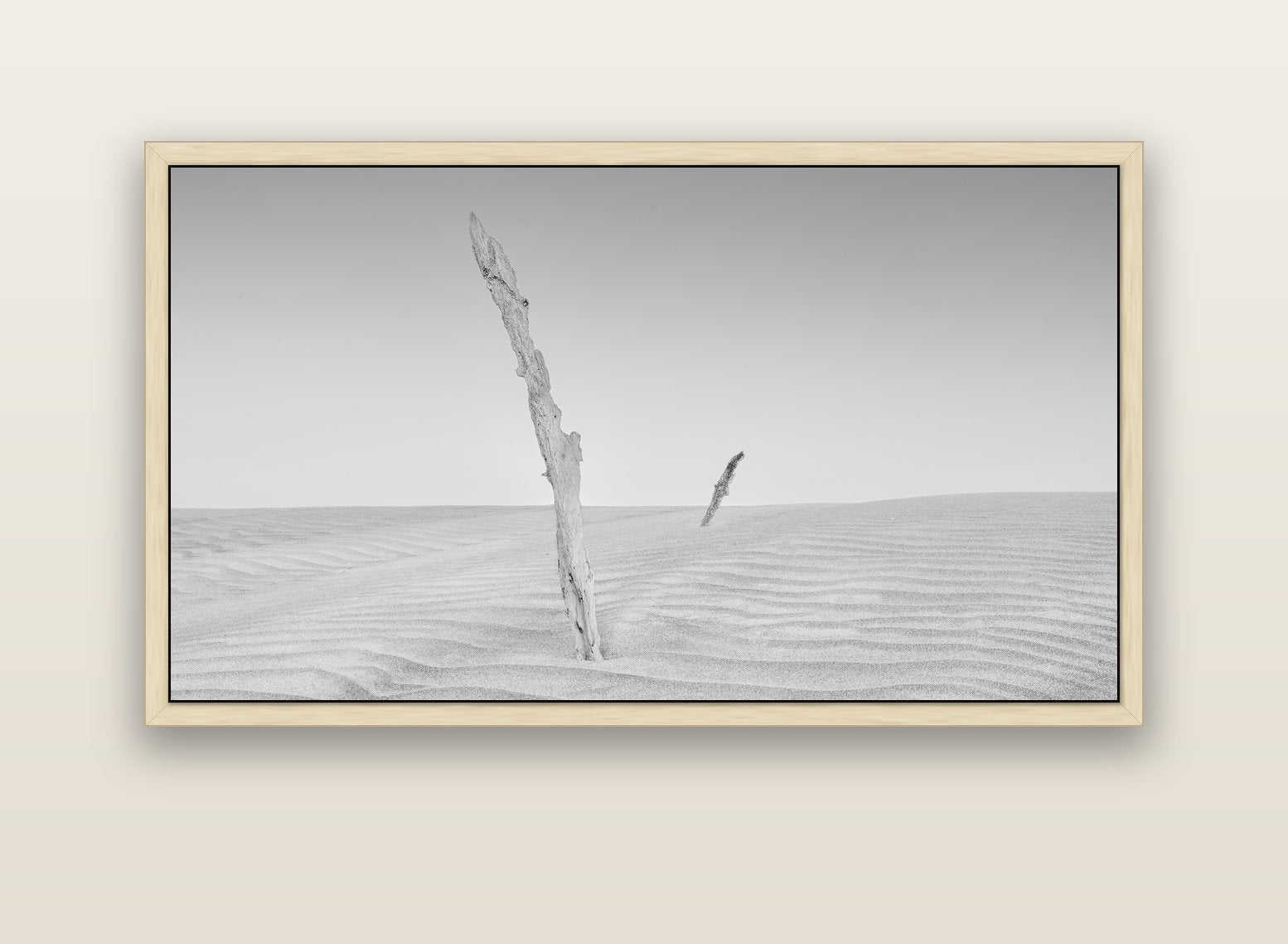 Desert Remnants, Pouto Peninsula — natural float frame canvas, 152 × 86 cm. New Zealand fine art landscape wall art by Stephen Milner.