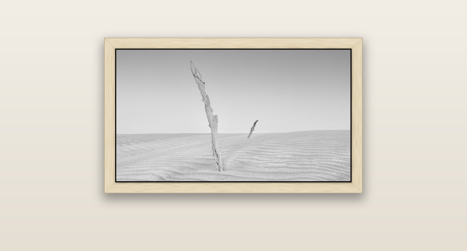 Desert Remnants, Pouto Peninsula — natural float frame canvas, 81 × 46 cm. New Zealand fine art landscape wall art by Stephen Milner.