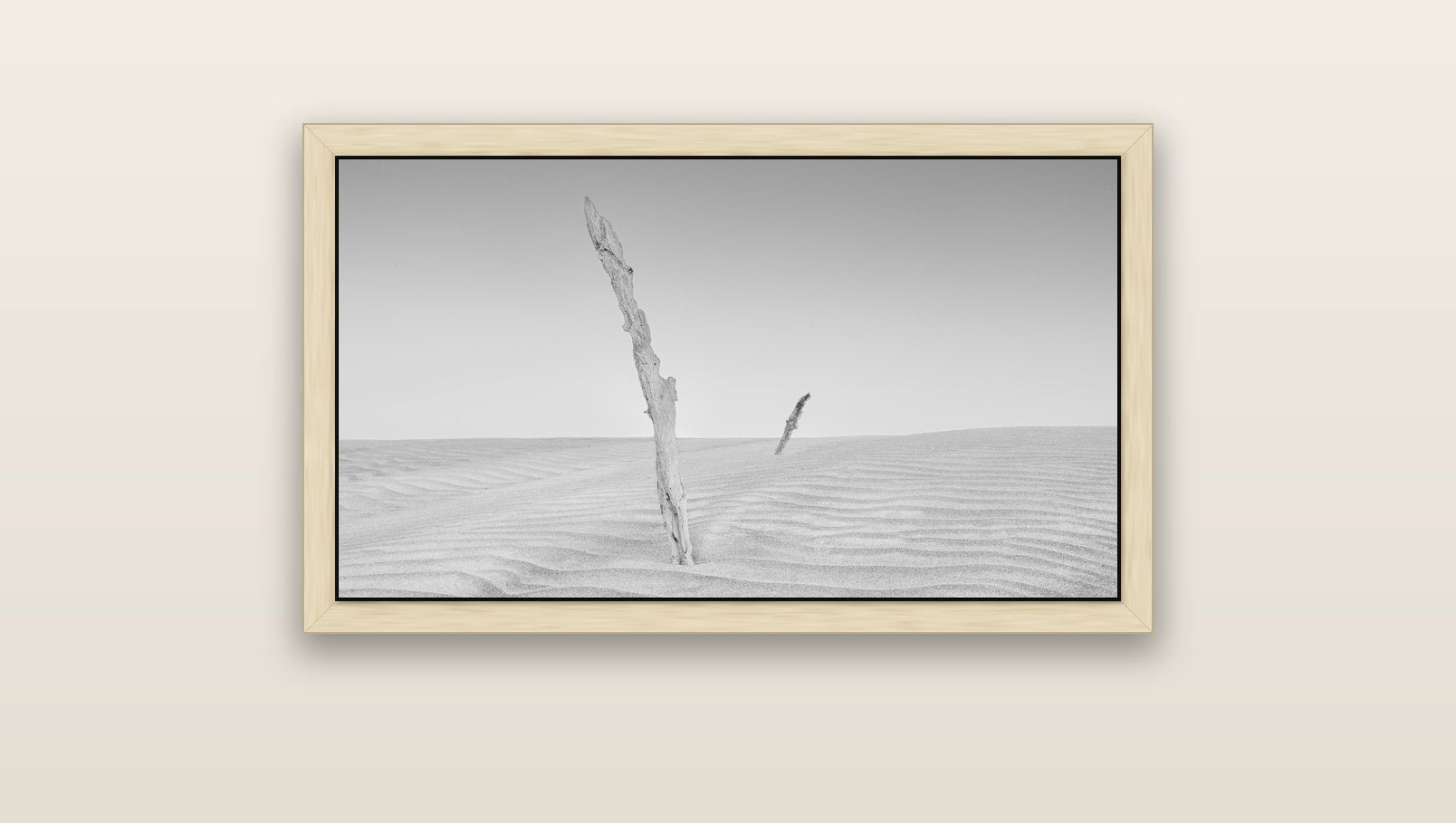 Desert Remnants, Pouto Peninsula — natural float frame canvas, 91 × 51 cm. New Zealand fine art landscape wall art by Stephen Milner.