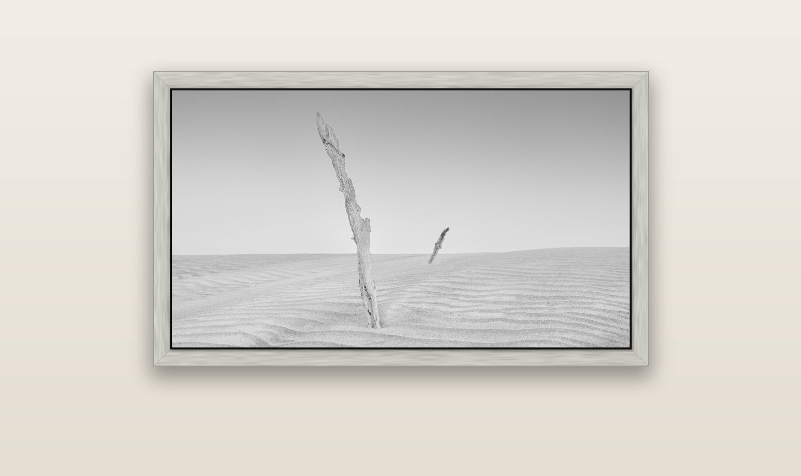 Desert Remnants, Pouto Peninsula — silver float frame canvas, 102 × 56 cm. New Zealand fine art landscape wall art by Stephen Milner.