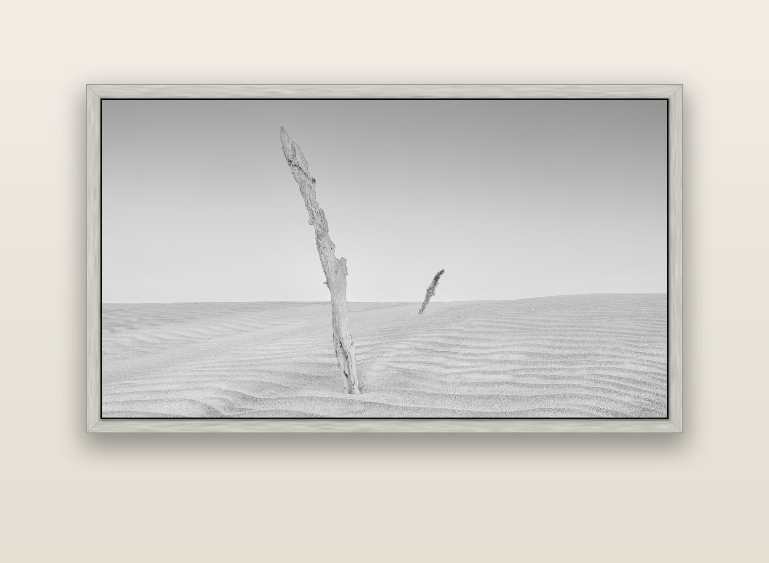 Desert Remnants, Pouto Peninsula — silver float frame canvas, 152 × 86 cm. New Zealand fine art landscape wall art by Stephen Milner.