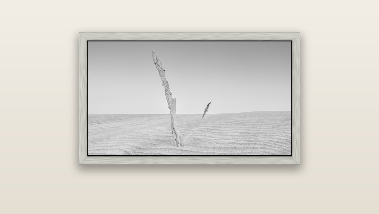 Desert Remnants, Pouto Peninsula — silver float frame canvas, 91 × 51 cm. New Zealand fine art landscape wall art by Stephen Milner.