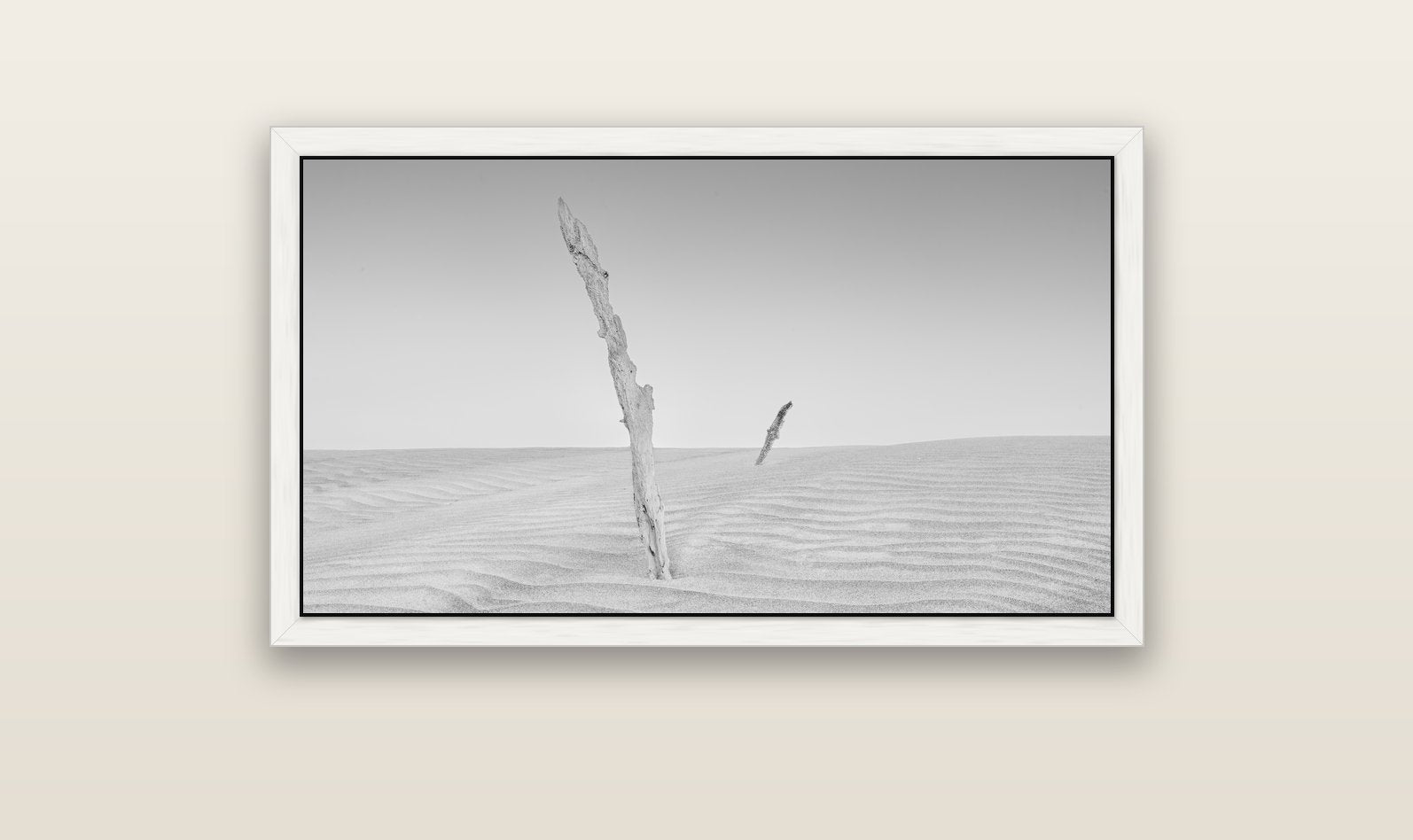 Desert Remnants, Pouto Peninsula — white float frame canvas, 102 × 56 cm. New Zealand fine art landscape wall art by Stephen Milner.