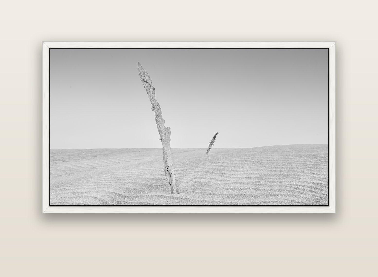 Desert Remnants, Pouto Peninsula — white float frame canvas, 152 × 86 cm. New Zealand fine art landscape wall art by Stephen Milner.