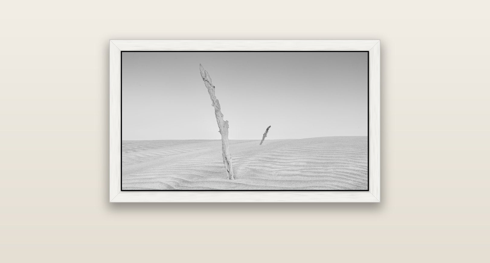 Desert Remnants, Pouto Peninsula — white float frame canvas, 81 × 46 cm. New Zealand fine art landscape wall art by Stephen Milner.
