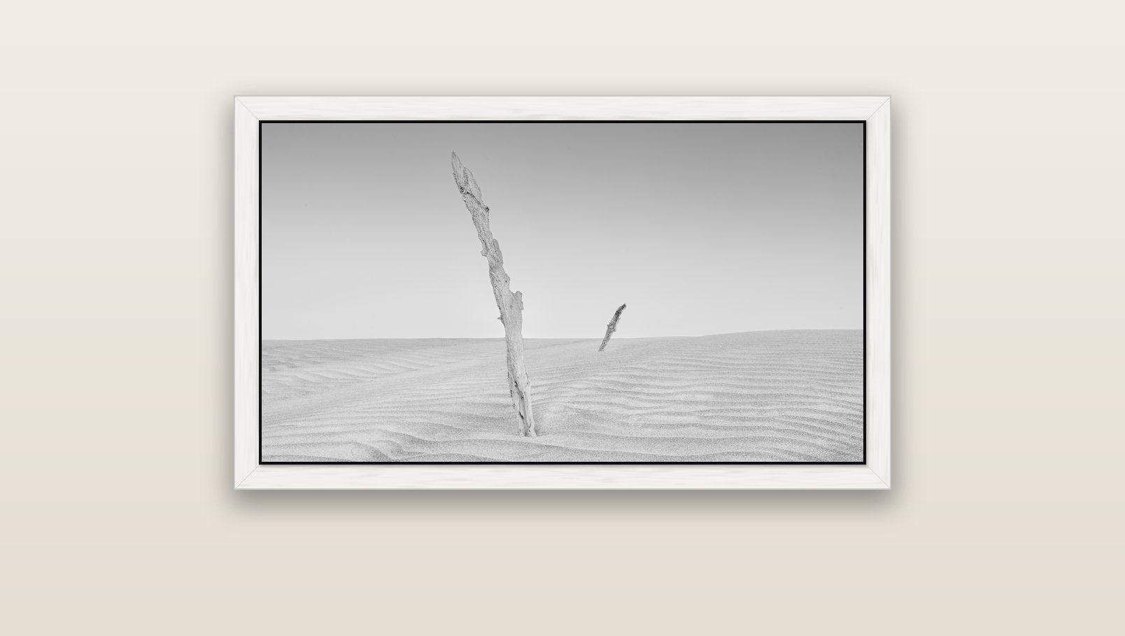 Desert Remnants, Pouto Peninsula — white float frame canvas, 91 × 51 cm. New Zealand fine art landscape wall art by Stephen Milner.