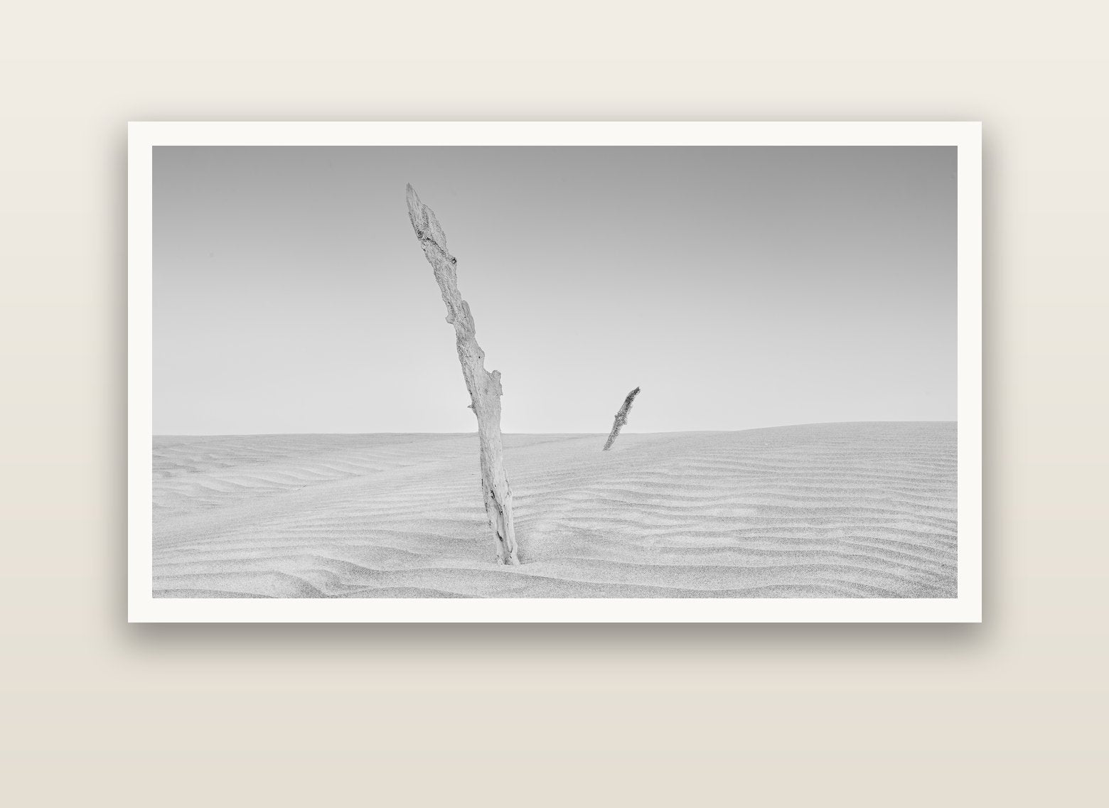 Desert Remnants, Pouto Peninsula — Hahnemühle fine art print, 150 × 75 cm. New Zealand fine art landscape photography by Stephen Milner.