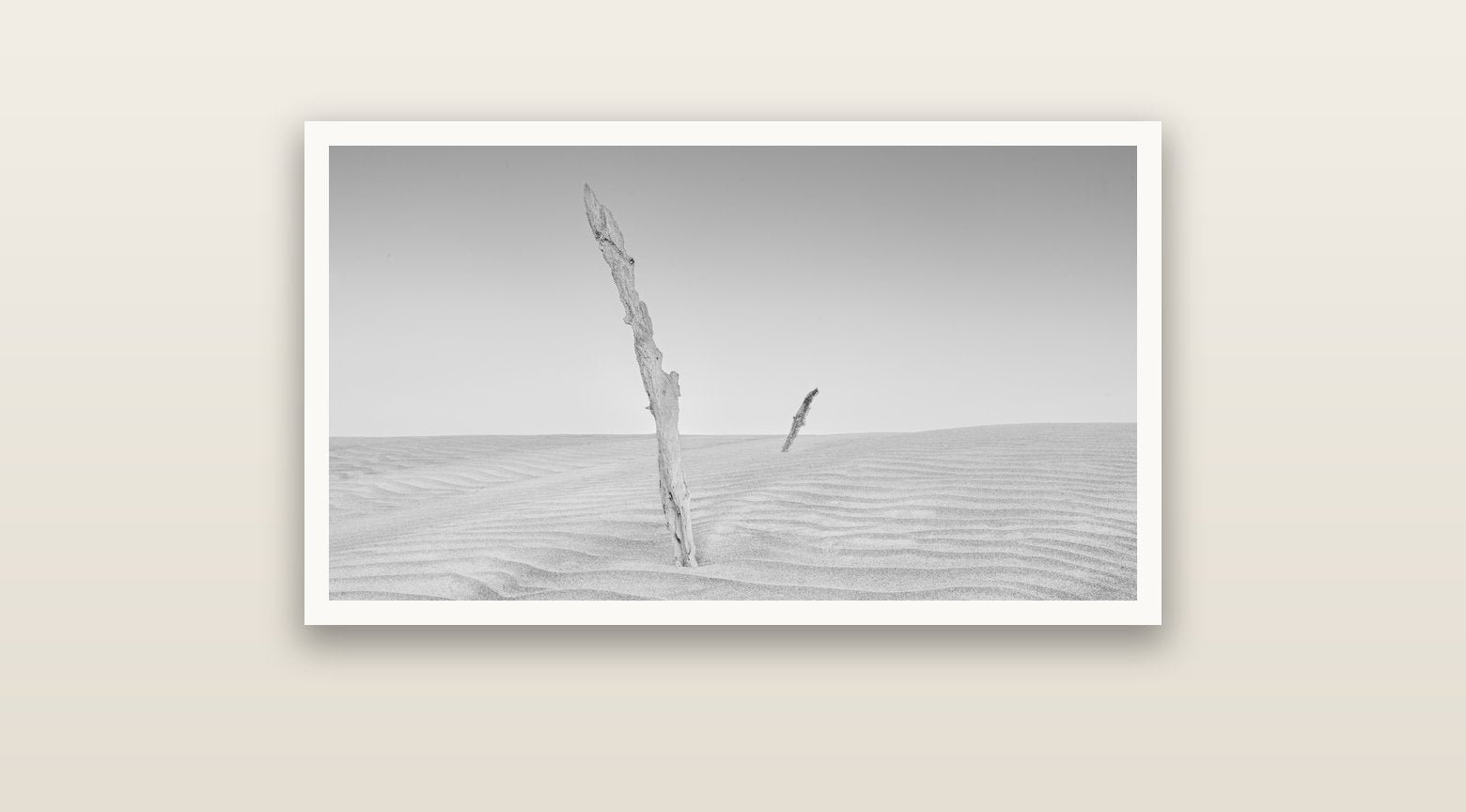 Desert Remnants, Pouto Peninsula — Hahnemühle fine art print, 91 × 51 cm. New Zealand fine art landscape photography by Stephen Milner.