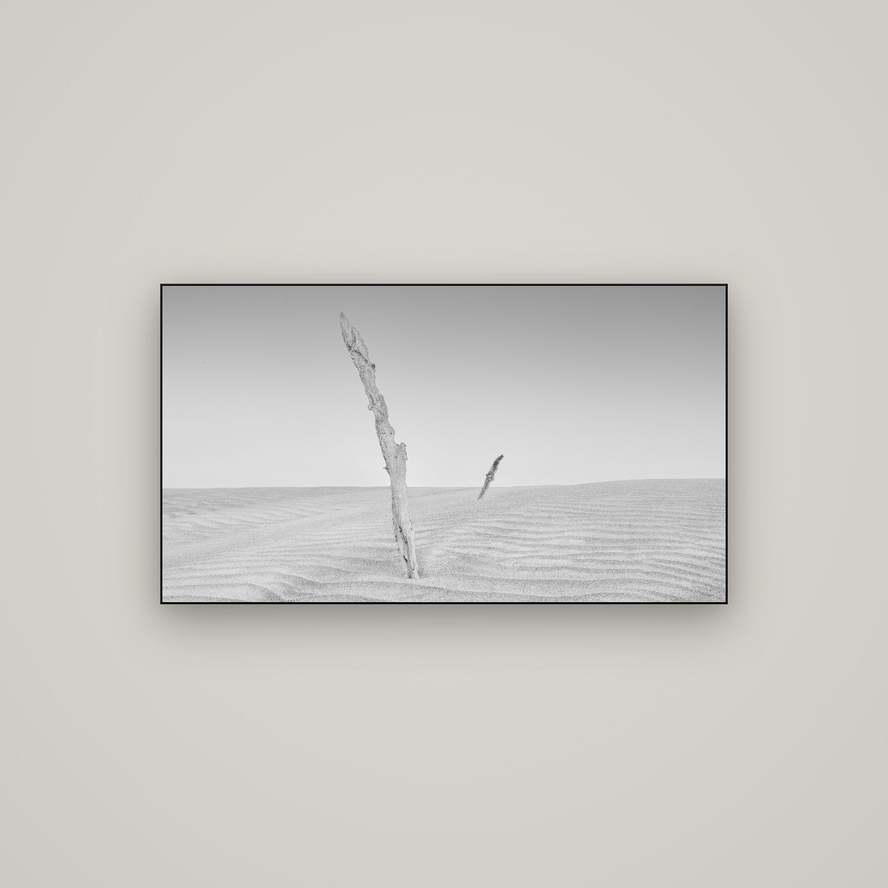 Desert Remnants, Pouto Peninsula — Slimline Black, 107×60 cm. New Zealand fine art wall art by Stephen Milner.