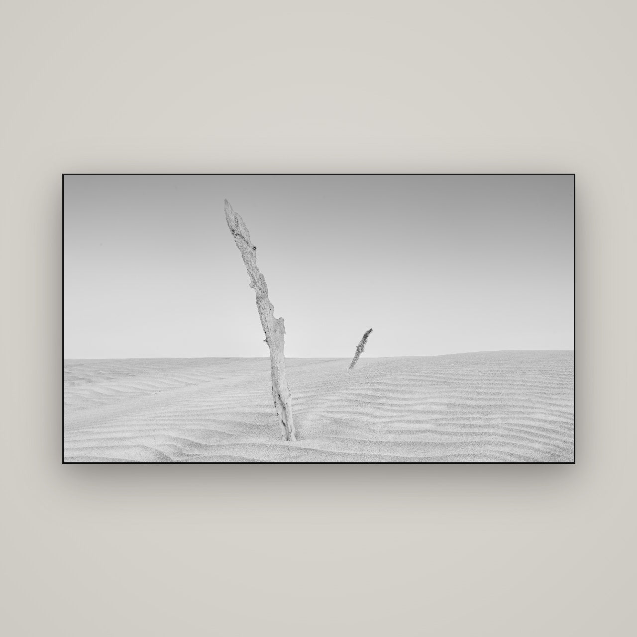 Desert Remnants, Pouto Peninsula — Slimline Black, 160×90 cm. New Zealand fine art wall art by Stephen Milner.