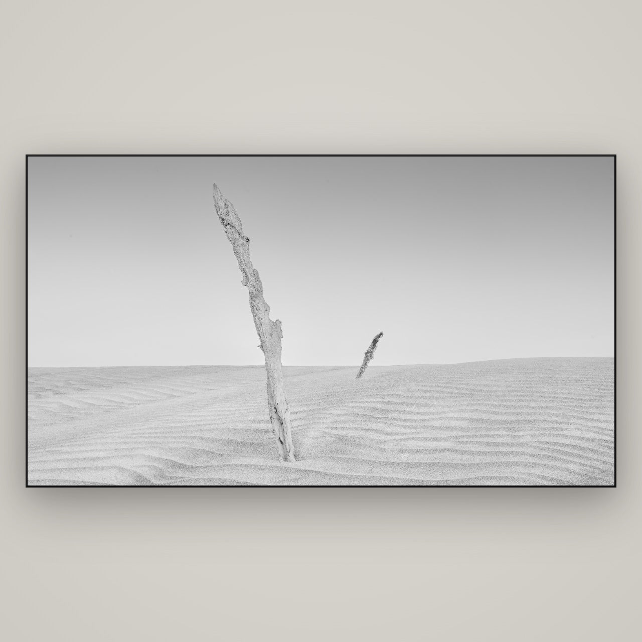 Desert Remnants, Pouto Peninsula — Slimline Black, 196×110 cm. New Zealand fine art wall art by Stephen Milner.
