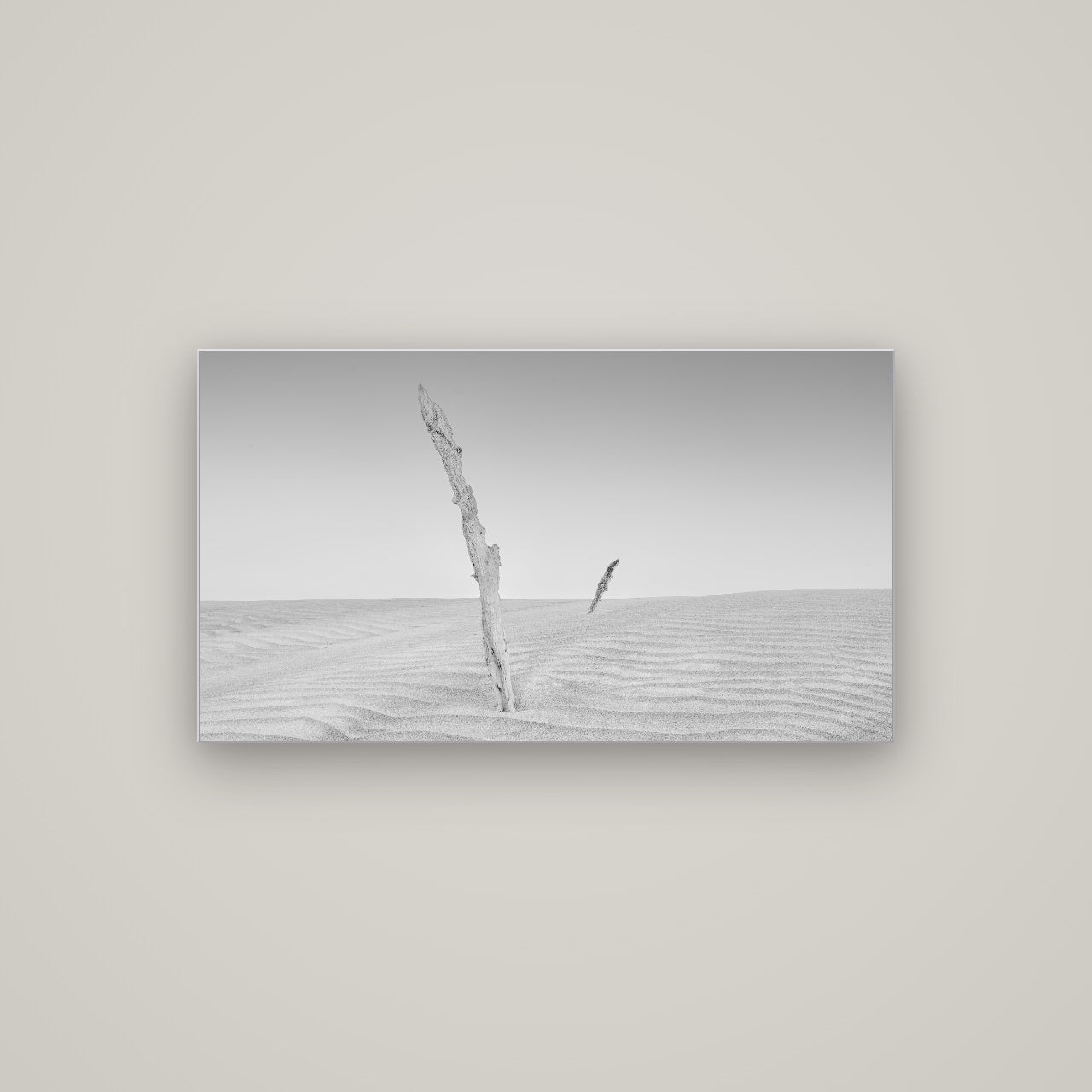 Desert Remnants, Pouto Peninsula — Slimline Silver, 107×60 cm. New Zealand fine art wall art by Stephen Milner.