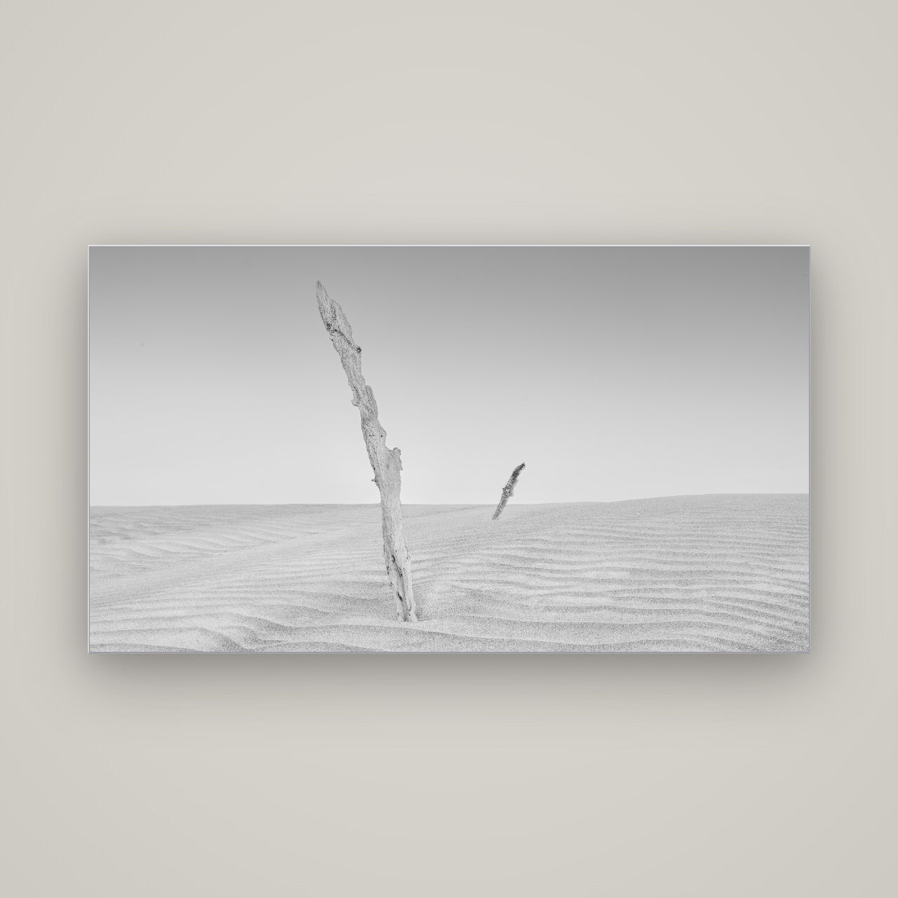 Desert Remnants, Pouto Peninsula — Slimline Silver, 160×90 cm. New Zealand fine art wall art by Stephen Milner.
