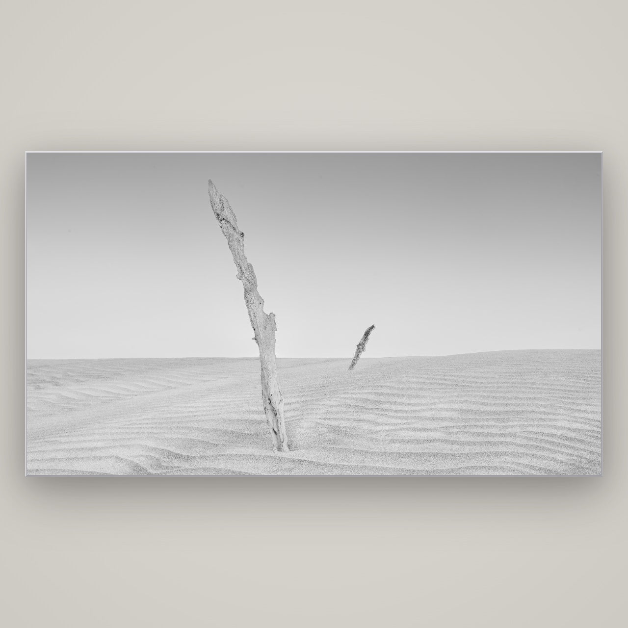 Desert Remnants, Pouto Peninsula — Slimline Silver, 196×110 cm. New Zealand fine art wall art by Stephen Milner.