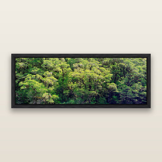 Emerald Euphoria, Fiordland Rainforest Canopy — framed metallic canvas print, Black frame. New Zealand fine art landscape wall art by Stephen Milner.