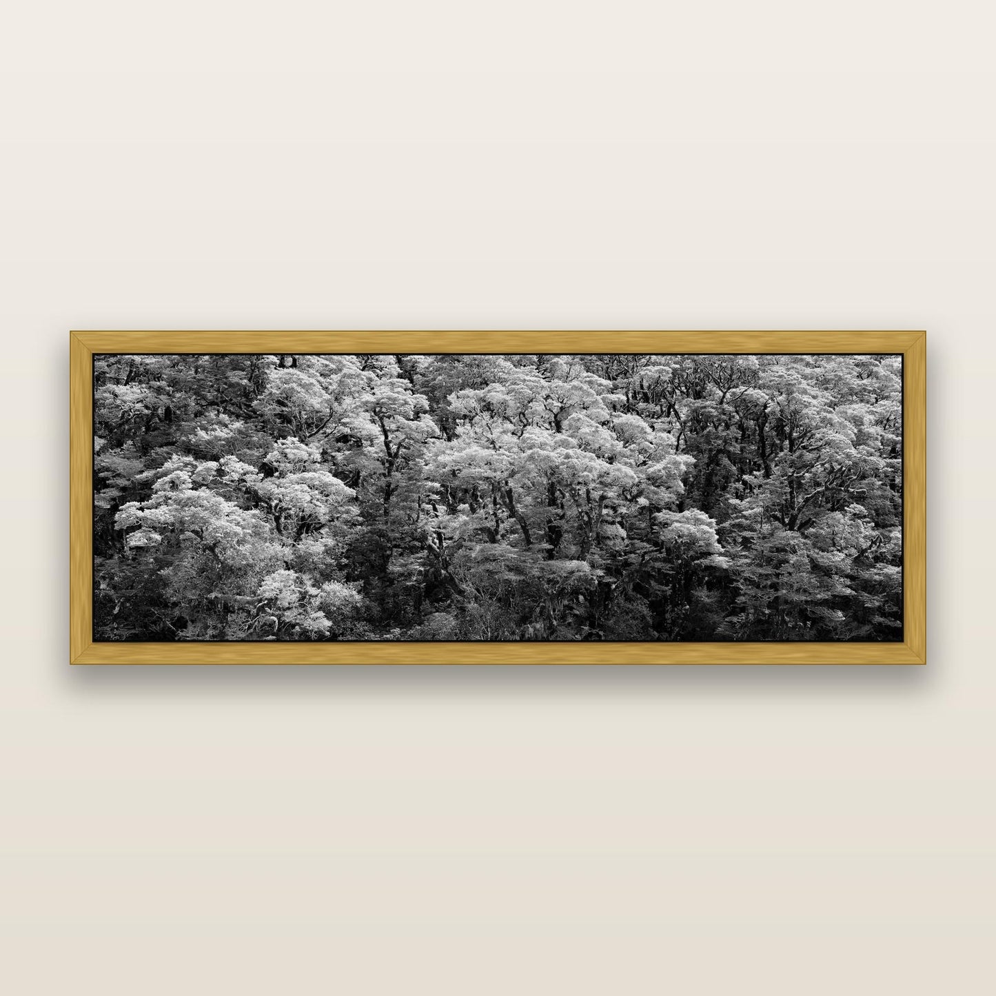 Rainforest Reverie, Fiordland, black and white framed metallic canvas print, Antique Gold frame. New Zealand fine art wall art by Stephen Milner.