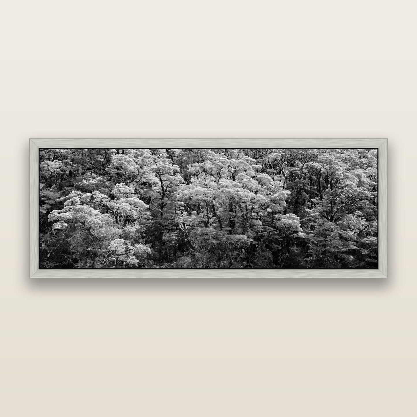 Rainforest Reverie, Fiordland, black and white framed metallic canvas print, Antique Silver frame. New Zealand fine art wall art by Stephen Milner.