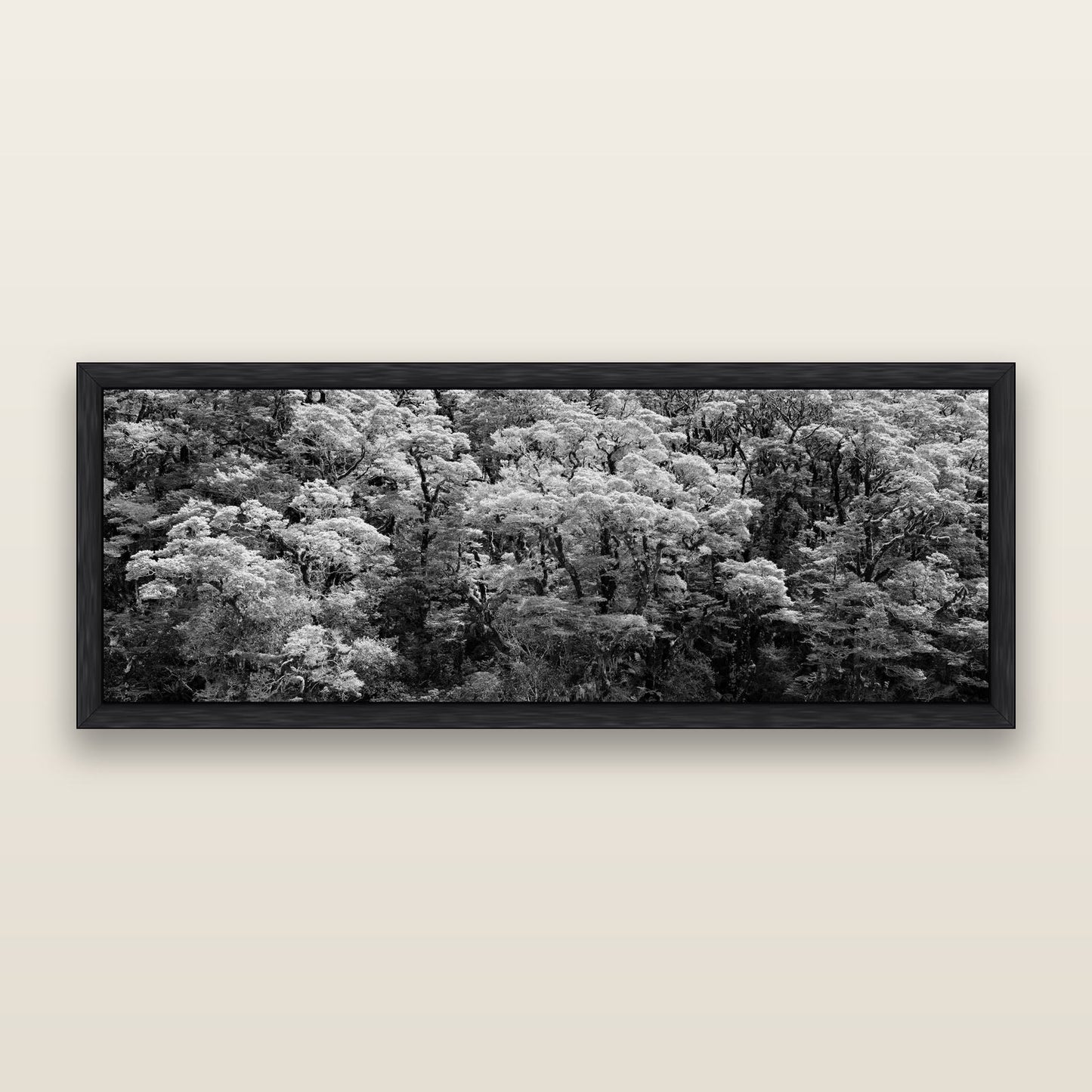 Rainforest Reverie, Fiordland, black and white framed metallic canvas print, Black frame. New Zealand fine art wall art by Stephen Milner.