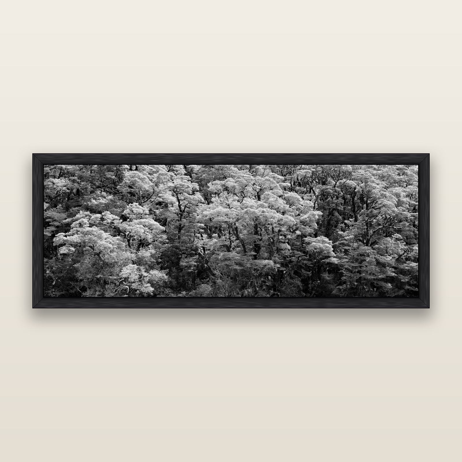 Rainforest Reverie, Fiordland, black and white framed metallic canvas print, Black frame. New Zealand fine art wall art by Stephen Milner.