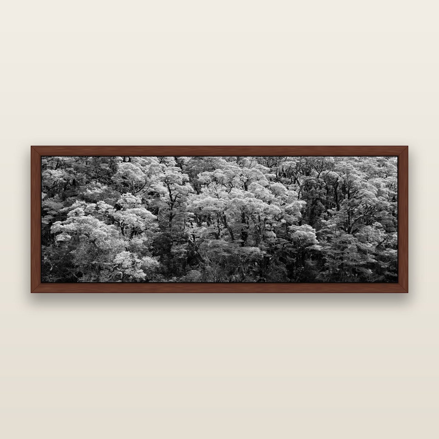 Rainforest Reverie, Fiordland, black and white framed metallic canvas print, Brown frame. New Zealand fine art wall art by Stephen Milner.