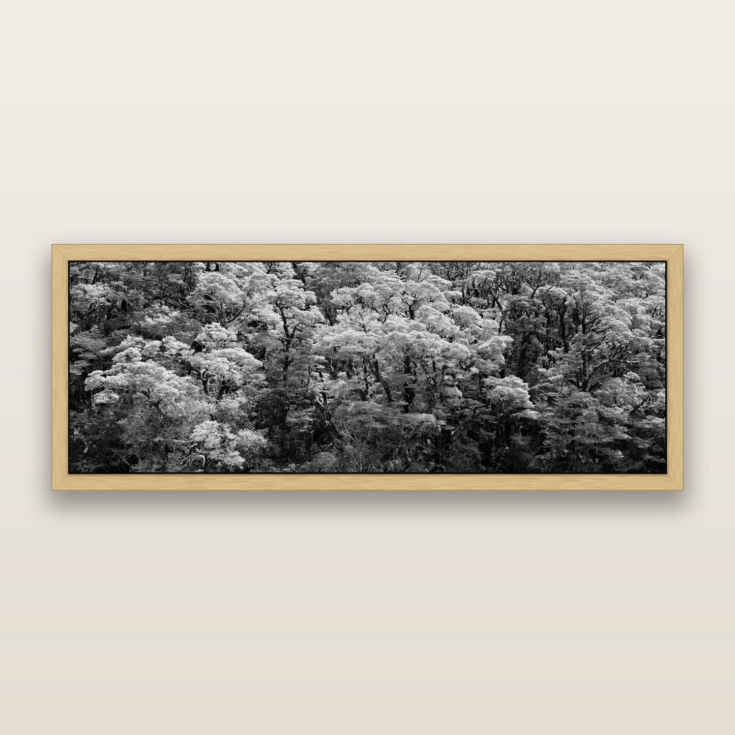 Rainforest Reverie, Fiordland, black and white framed metallic canvas print, Natural frame. New Zealand fine art wall art by Stephen Milner.