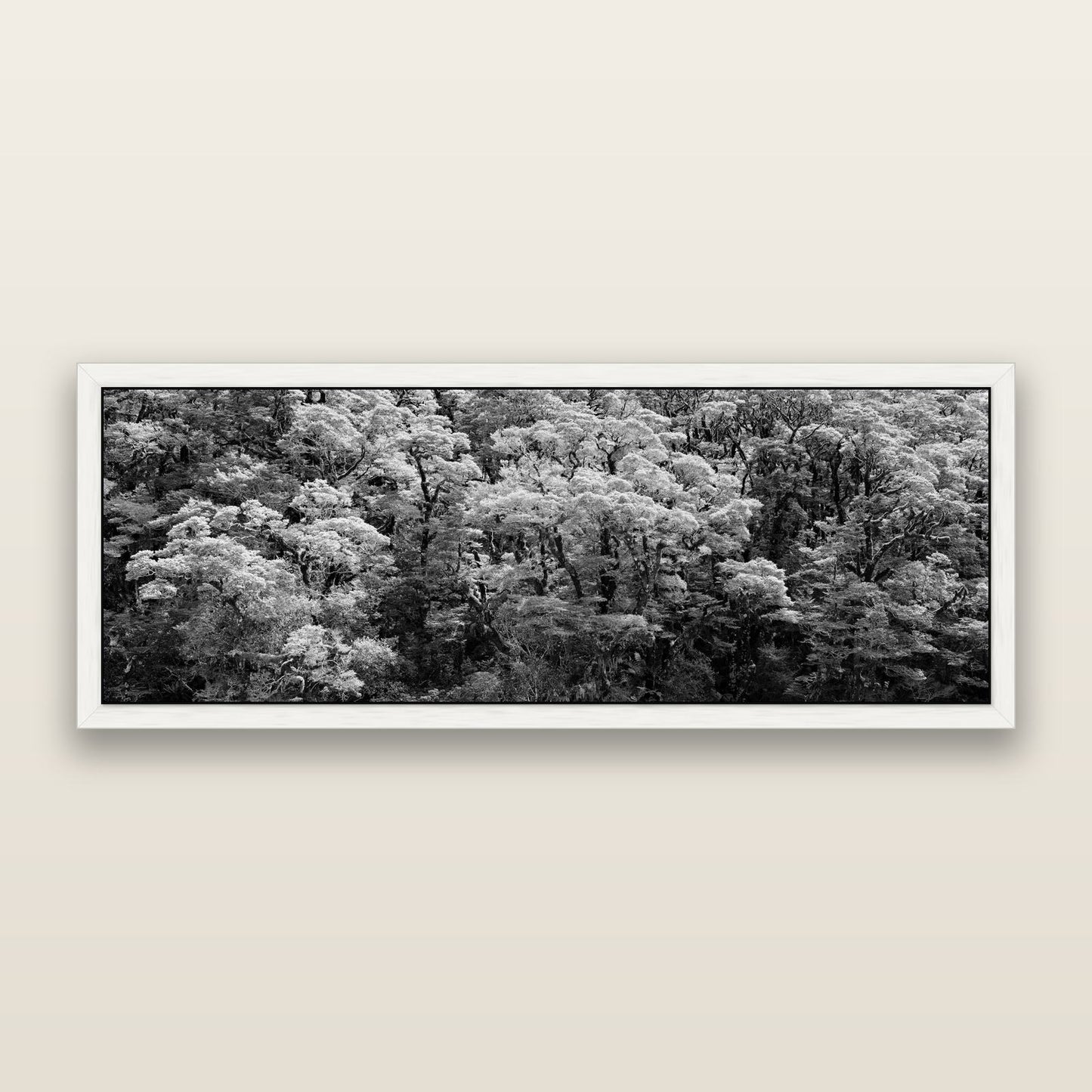 Rainforest Reverie, Fiordland, black and white framed metallic canvas print, White frame. New Zealand fine art wall art by Stephen Milner.