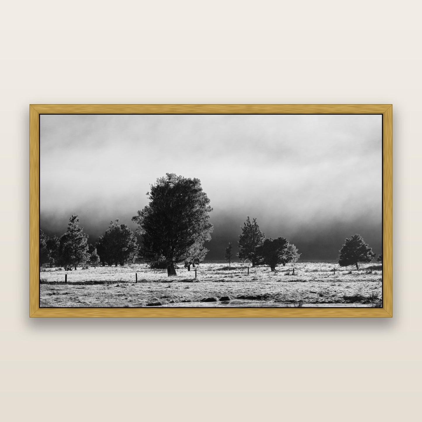 Morning Mist, Fox Valley, black and white framed metallic canvas print, Antique Gold frame. New Zealand fine art wall art by Stephen Milner.
