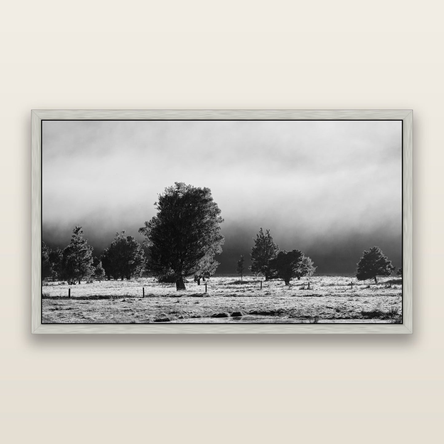 Morning Mist, Fox Valley, black and white framed metallic canvas print, Antique Silver frame. New Zealand fine art wall art by Stephen Milner.