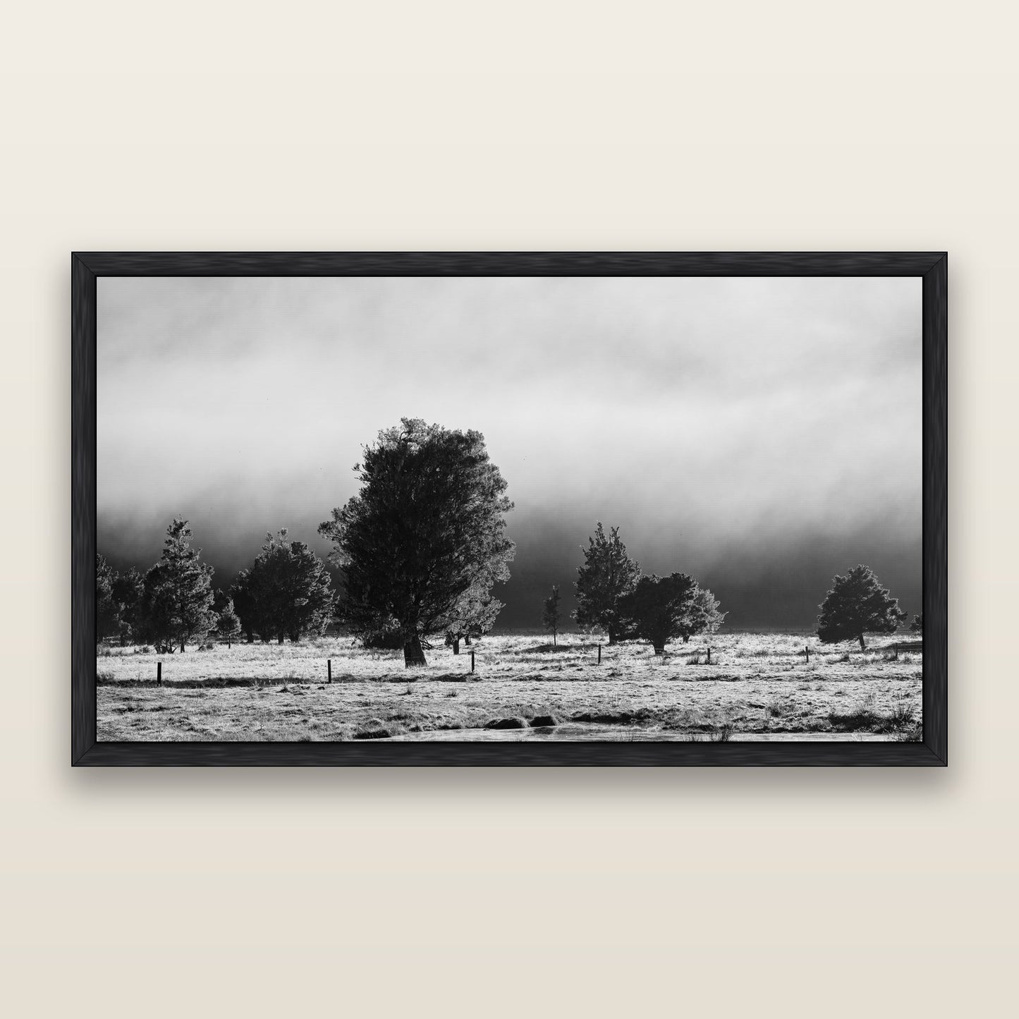 Morning Mist, Fox Valley, black and white framed metallic canvas print, Black frame. New Zealand fine art wall art by Stephen Milner.